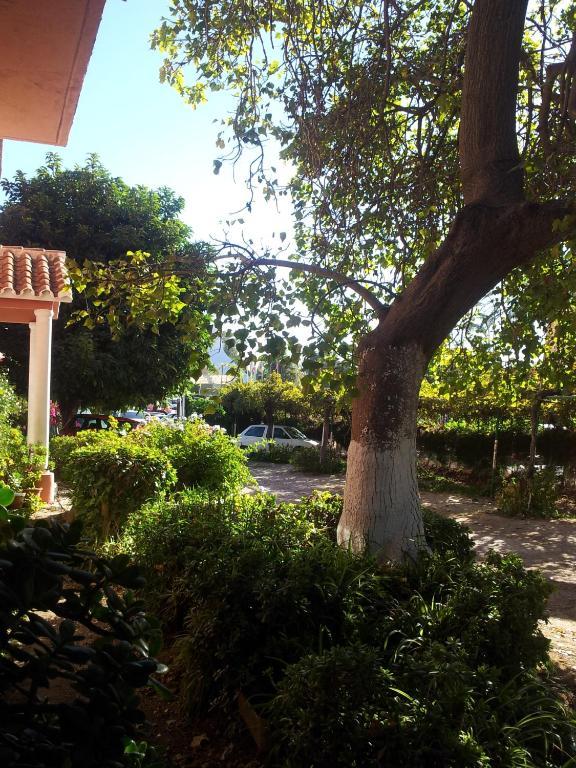 El Tio Mateo Marbella Exterior foto
